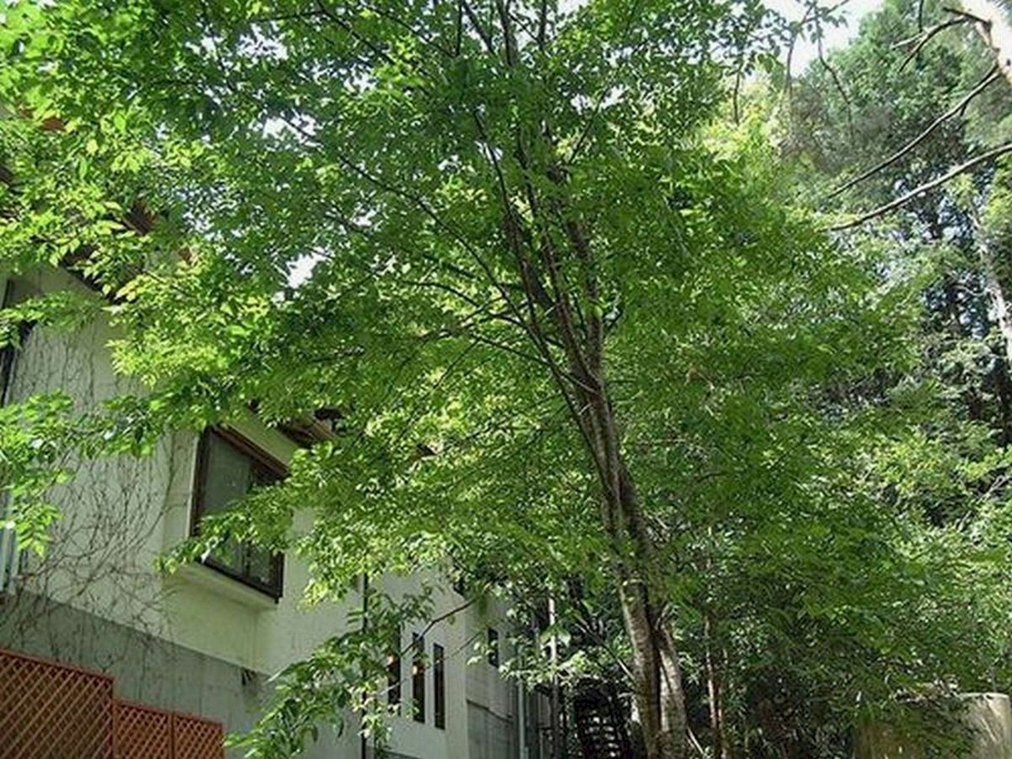 Auberge Hidanomori Takayama  Esterno foto
