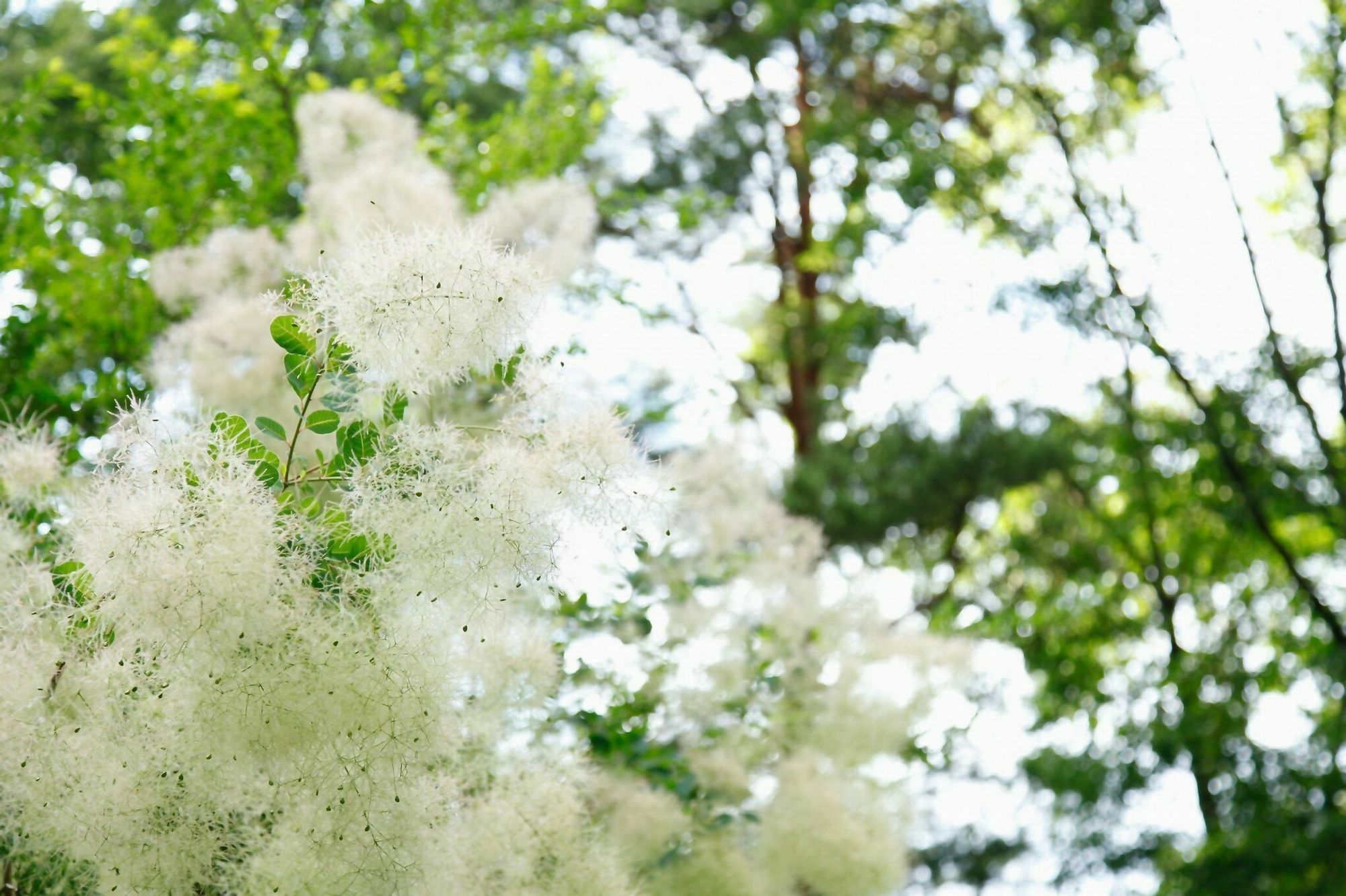 Auberge Hidanomori Takayama  Esterno foto